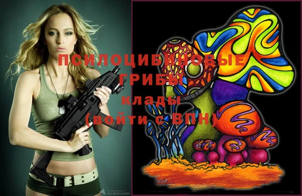 a pvp Корсаков