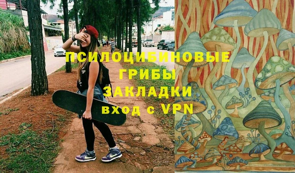 круглые Коряжма