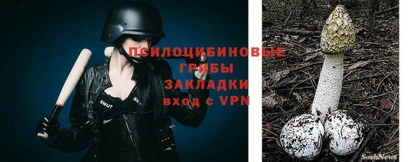 прущие грибы Железногорск-Илимский