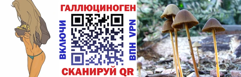 Галлюциногенные грибы ЛСД  Купить закладки  Биробиджан 