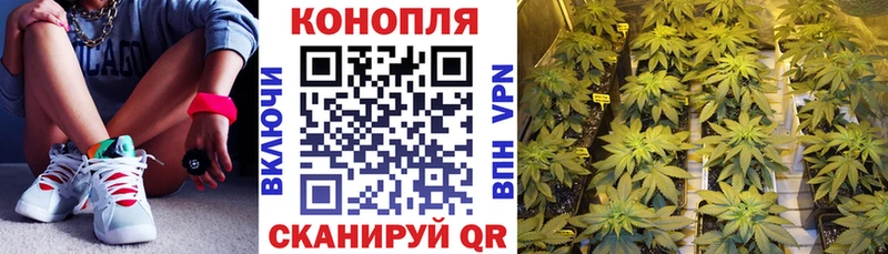 Конопля SATIVA & INDICA Биробиджан
